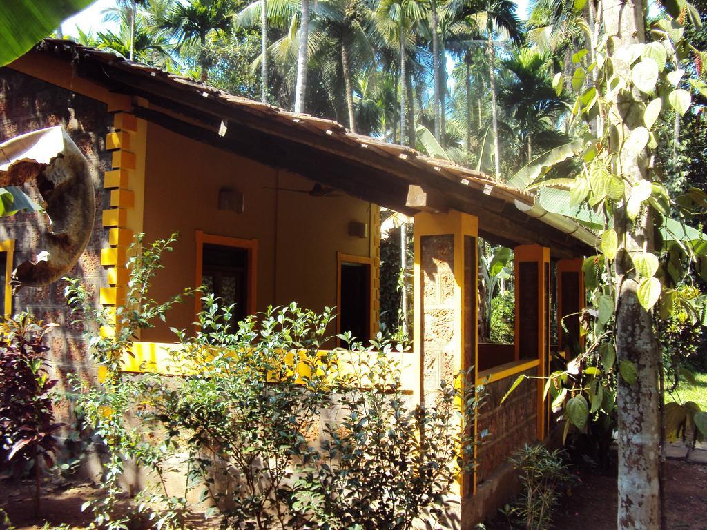 Villa Dudhsagar Plantation Cormonem Exterior foto