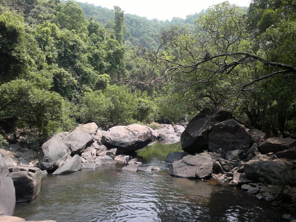 Villa Dudhsagar Plantation Cormonem Exterior foto