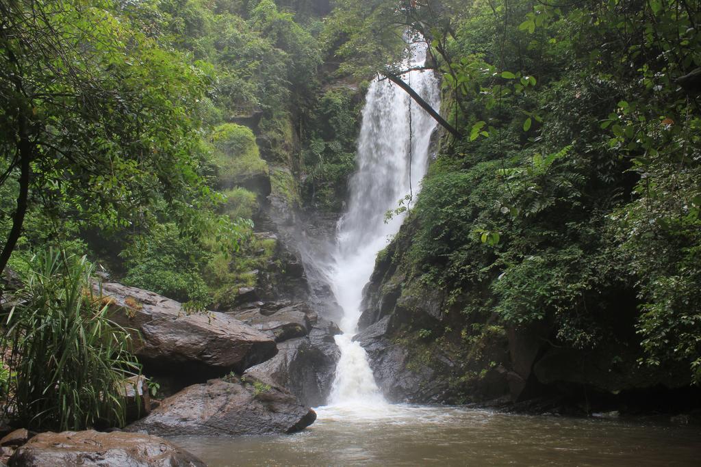 Villa Dudhsagar Plantation Cormonem Exterior foto