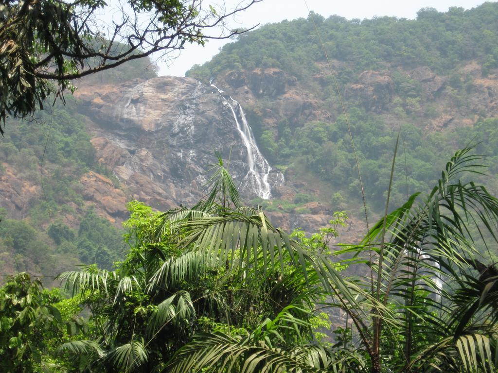 Villa Dudhsagar Plantation Cormonem Exterior foto